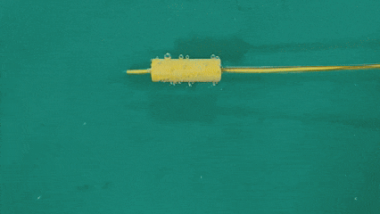 1736744351762718.gif 1736744351762718.gif