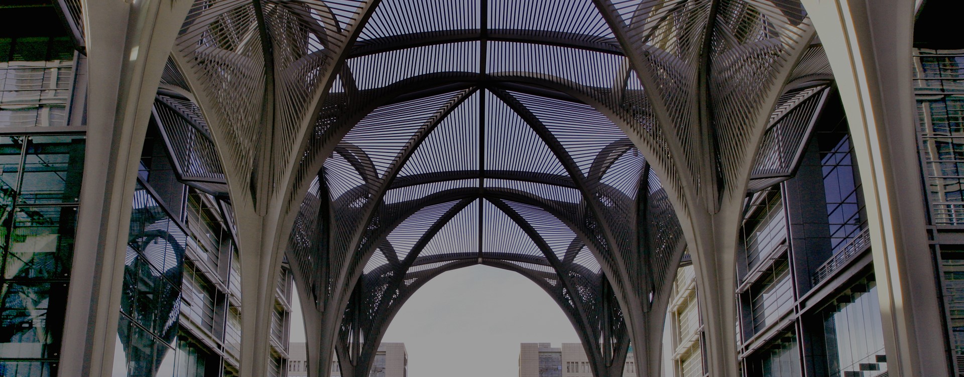 首页 - CG电子官方网站