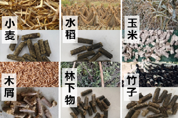 首页 - CG电子官方网站