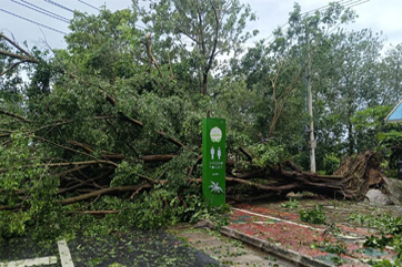 首页 - CG电子官方网站